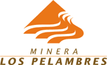 Minera Los Pelambres: Implementa sistema workflow que permite acoger propuestas de trabajadores con DTS Ltda.