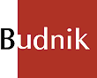 Budnik: Innovando en el servicio a clientes con solución de preventa móvil desarrollada por Paradigma