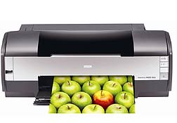 Nueva formato ancho Epson