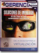 Revista Gerencia – Enero 2011