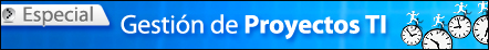 PRACTIA CONSULTING > Un experto para todos los desafíos de la gestión de proyectos