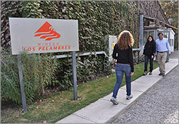 Minera Los Pelambres adopta Microsoft Dynamics CRM para monitorear sus procesos