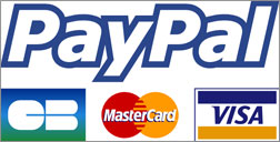 Paypal espera que pagos en su plataforma alcancen los 20 mil millones de dólares