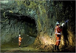 Mas Errázuriz optimiza su infraestructura de TI con solución de Level 3