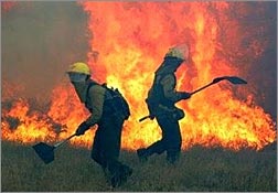 El futuro de la prevención de incendios está en la nube