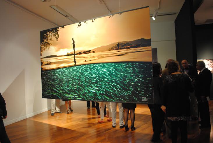 Epson apoya el arte digital en Latinoamérica