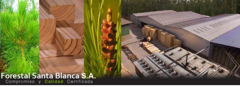 Forestal Ecosur destaca exitosa experiencia con PuntoSeguro