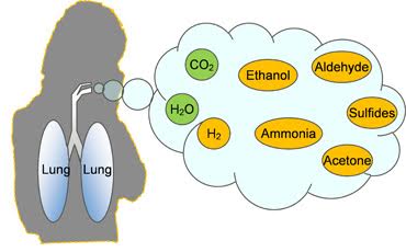 Fujitsu desarrolla dispositivo que mide componentes de gas en la respiración humana