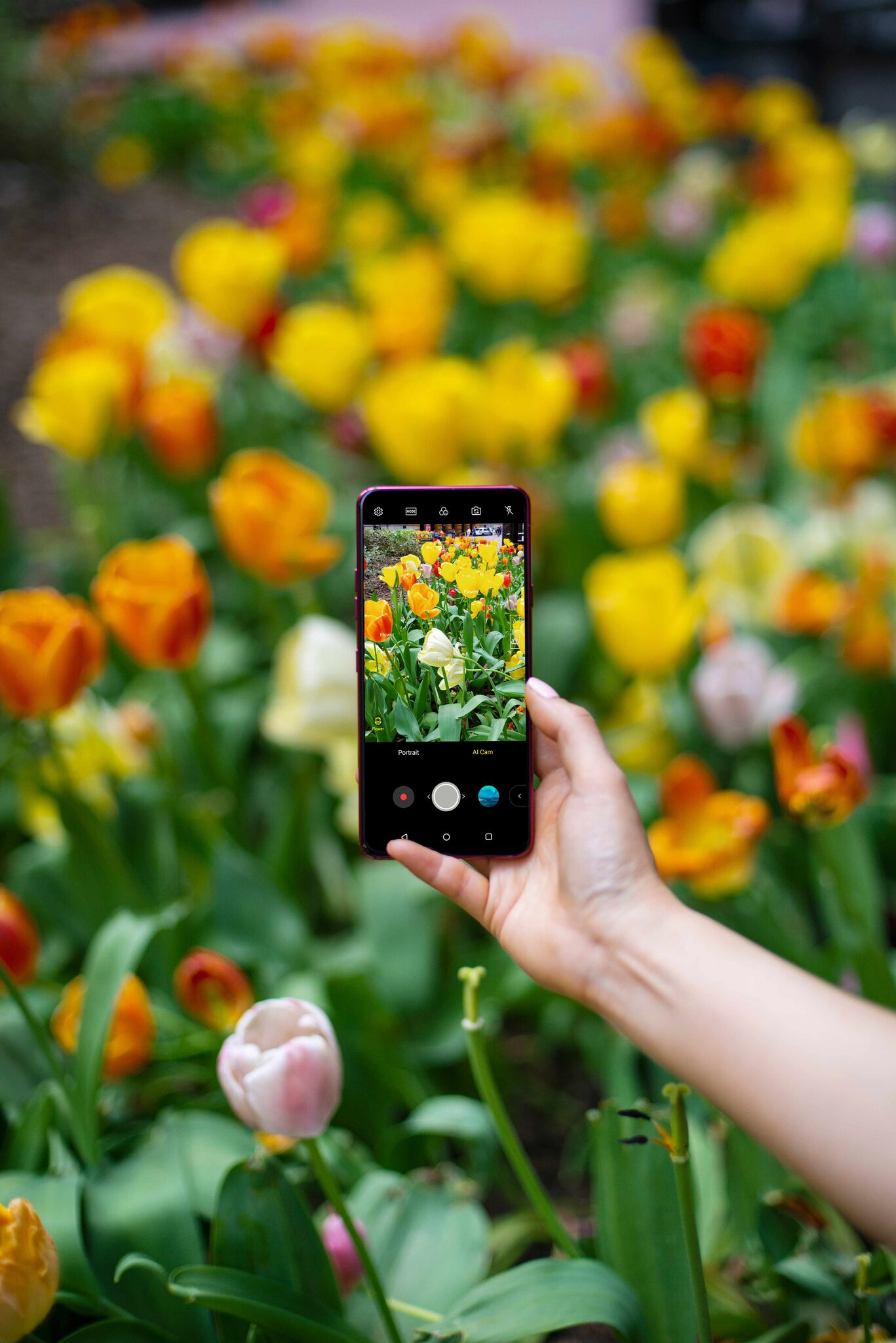 LG G7 ThinQ ya está en Chile