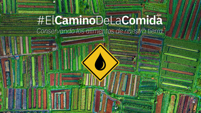 Aplicaciones en la nube para el riego eficiente de campos chilenos