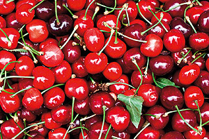 El monitoreo como apoyo al estudio de riesgos bacterianos en los cultivos