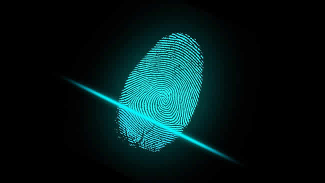 Seis pasos para gestionar la identidad por medio de la biometría