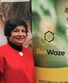 IoT al rescate de las abejas