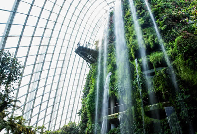 Microsoft presenta soluciones para aportar a un mundo más sustentable