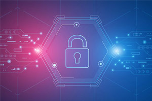 ¿Cómo detener la pérdida de datos personales a manos de ciberdelincuentes?