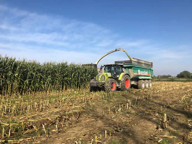 El 5G potenciará la IA en la industria agrícola, de transporte y minería en Chile