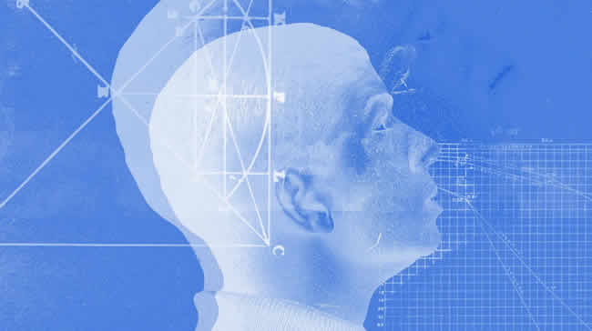 Modelo computacional ayuda a estudiar la percepción de olores en el cerebro