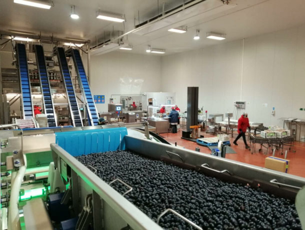 Vitafoods lleva la gestión de sus procesos a la nube con SAP